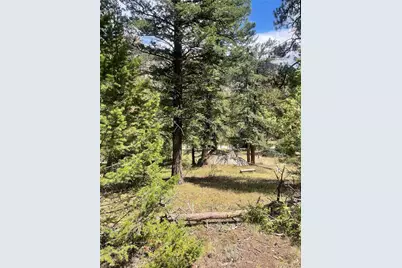 Cedar Drive, Lyons, CO 80540 - Photo 2