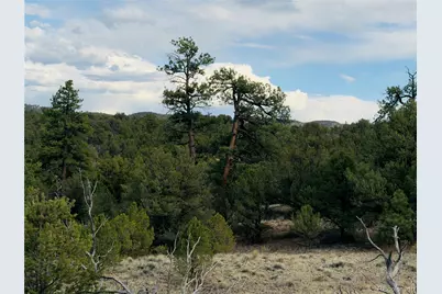 5539 Cody Park Road, Cotopaxi, CO 81223 - Photo 12