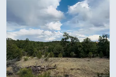 5539 Cody Park Road, Cotopaxi, CO 81223 - Photo 10