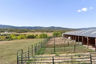 2073 S Perry Park Rd, Sedalia, CO 80135 - Photo 38