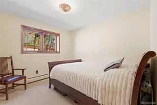 4068 Histead Way, Evergreen, CO 80439 - Photo 34