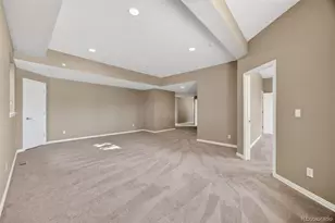 291 N Pines Trail, Parker, CO 80138 - Photo 42