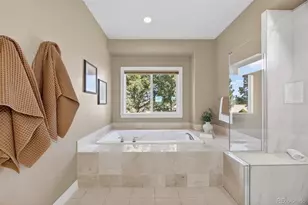 291 N Pines Trail, Parker, CO 80138 - Photo 30