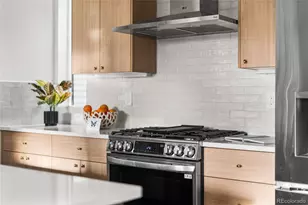 1230 N Zenobia Street, Denver, CO 80204 - Photo 8