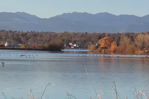 5343 W 16th Ave, Lakewood, CO 80214 - Photo 22