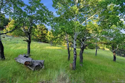 34317 State Highway 103, Evergreen, CO 80439 - Photo 46