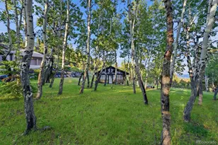 34317 State Highway 103, Evergreen, CO 80439 - Photo 6