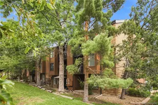 433 Wright St, Denver, CO 80228 - Photo 22