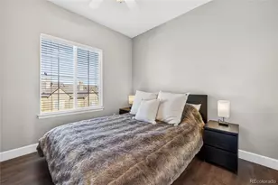 875 Brookhurst Ave, Highlands Ranch, CO 80129 - Photo 24