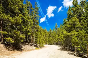 9 Rainbow Rd, Idaho Springs, CO 80452 - Photo 1