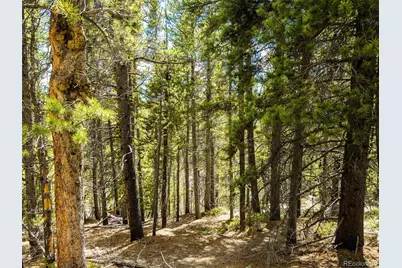 9 Rainbow Road, Idaho Springs, CO 80452 - Photo 6