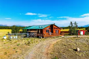 119 Bristlecone Ln, Fairplay, CO 80440 - Photo 36