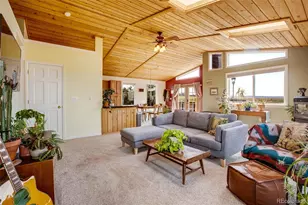 119 Bristlecone Ln, Fairplay, CO 80440 - Photo 1