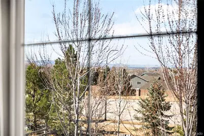 683 Tiger Lily Way, Highlands Ranch, CO 80126 - Photo 24