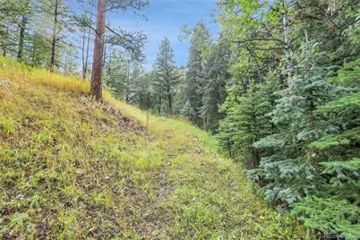 Tbd Mountain Park Road, Evergreen, CO 80439 - Photo 40