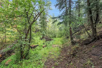 Tbd Mountain Park Road, Evergreen, CO 80439 - Photo 28