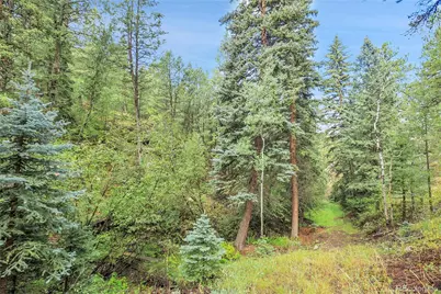 Tbd Mountain Park Road, Evergreen, CO 80439 - Photo 38