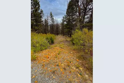 000 Middlefork Vista, Fairplay, CO 80440 - Photo 2