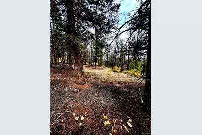 000 Middlefork Vista, Fairplay, CO 80440 - Photo 4