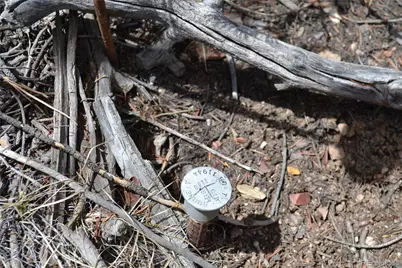 10340 Ranch Road, Hartsel, CO 80449 - Photo 12