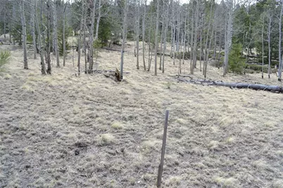 10340 Ranch Road, Hartsel, CO 80449 - Photo 16