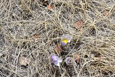 10340 Ranch Road, Hartsel, CO 80449 - Photo 10