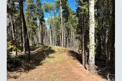 Lot 2380 Benton Road, Fort Garland, CO 81133 - Photo 1