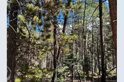 Lot 2380 Benton Road, Fort Garland, CO 81133 - Photo 4
