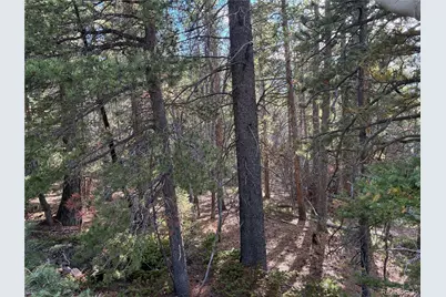 Lot 2380 Benton Road, Fort Garland, CO 81133 - Photo 10