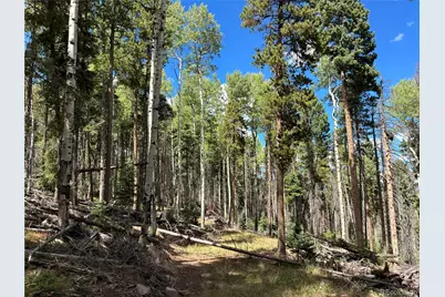 Lot 2380 Benton Road, Fort Garland, CO 81133 - Photo 2