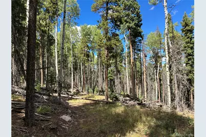 Lot 2380 Benton Road, Fort Garland, CO 81133 - Photo 12