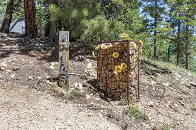 415 Upper Travis Gulch Road, Black Hawk, CO 80422 - Photo 2