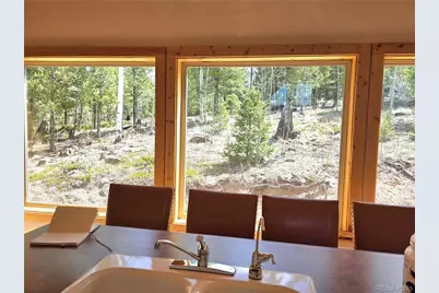 290 Eagle Rock Road, Florissant, CO 80816 - Photo 2