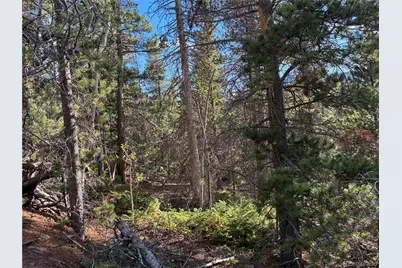 Lot 3189 Zipf, Fort Garland, CO 81133 - Photo 2