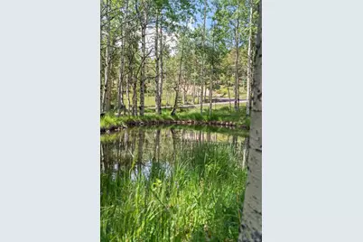 9030 Rex Lane, Conifer, CO 80433 - Photo 40