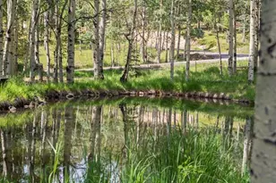 9030 Rex Ln, Conifer, CO 80433 - Photo 40