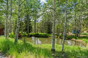 9030 Rex Ln, Conifer, CO 80433 - Photo 2