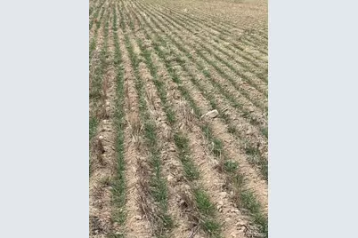 Tbd County Road 19, Fort Lupton, CO 80621 - Photo 4