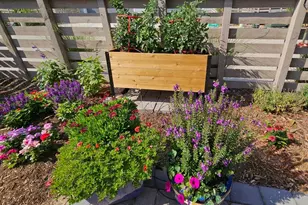 9793 Banner Peak Loop, Littleton, CO 80125 - Photo 40