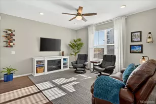 9793 Banner Peak Loop, Littleton, CO 80125 - Photo 6