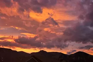 9793 Banner Peak Loop, Littleton, CO 80125 - Photo 4
