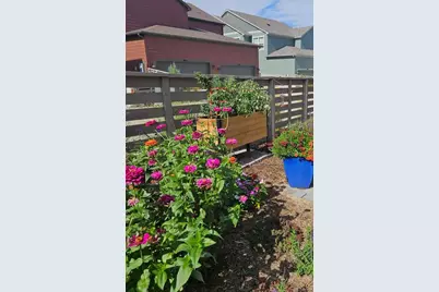 9793 Banner Peak Loop, Littleton, CO 80125 - Photo 42