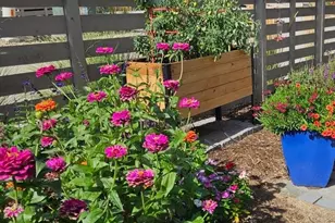 9793 Banner Peak Loop, Littleton, CO 80125 - Photo 42