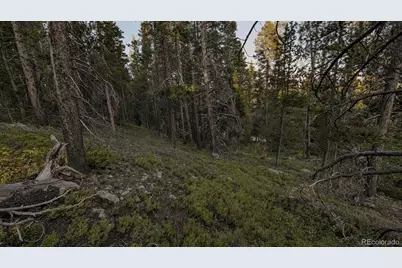 000 Steuart Road, Idaho Springs, CO 80452 - Photo 16