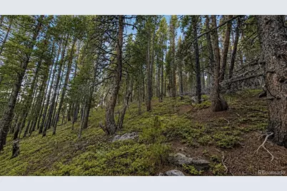 000 Steuart Road, Idaho Springs, CO 80452 - Photo 6