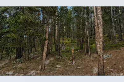 000 Steuart Road, Idaho Springs, CO 80452 - Photo 8