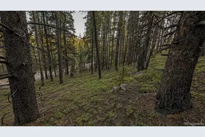 000 Steuart Road, Idaho Springs, CO 80452 - Photo 10