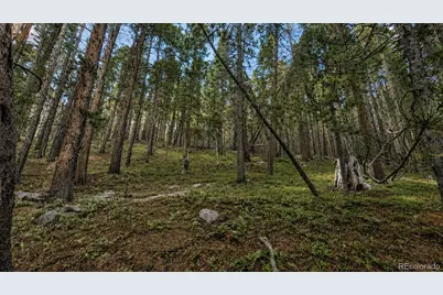 000 Steuart Road, Idaho Springs, CO 80452 - Photo 4