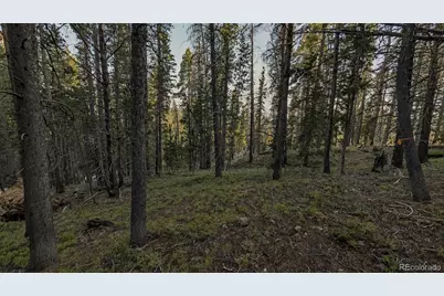 000 Steuart Road, Idaho Springs, CO 80452 - Photo 14