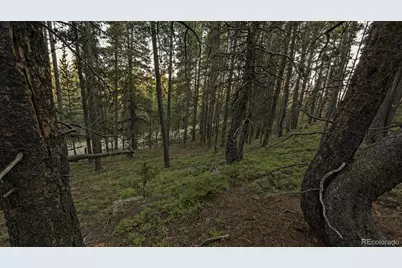 000 Steuart Road, Idaho Springs, CO 80452 - Photo 12